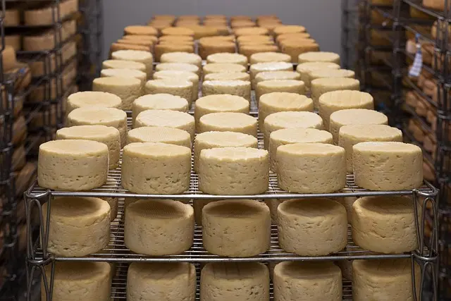 Les Secrets des Fromages Affinés : Dégustation et Conservation