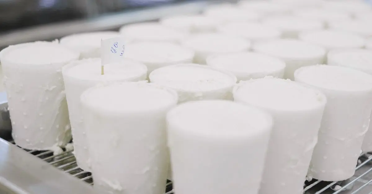 Les Secrets de la Fabrication du Fromage