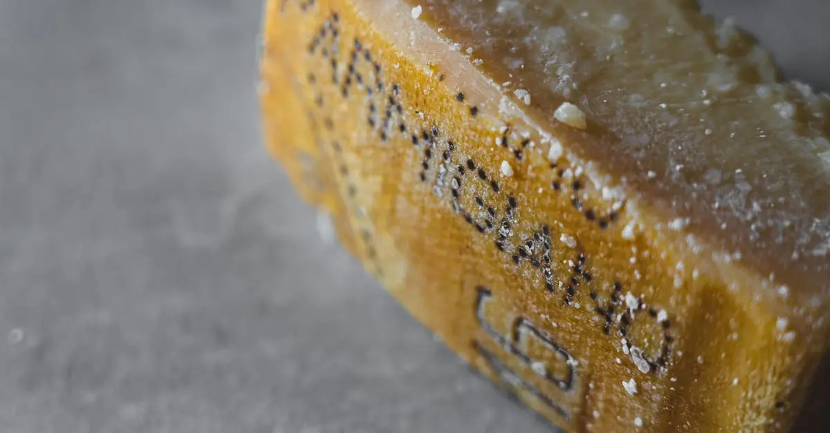 Les Secrets du Parmesan : Fabrication et Dégustation