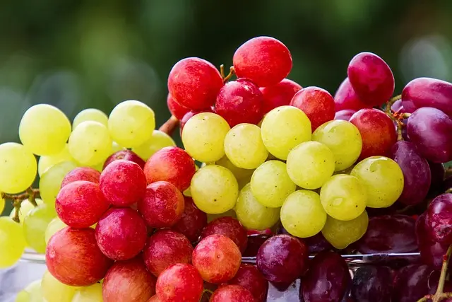 Le Guide Pratique des Accords Fromage et Fruits