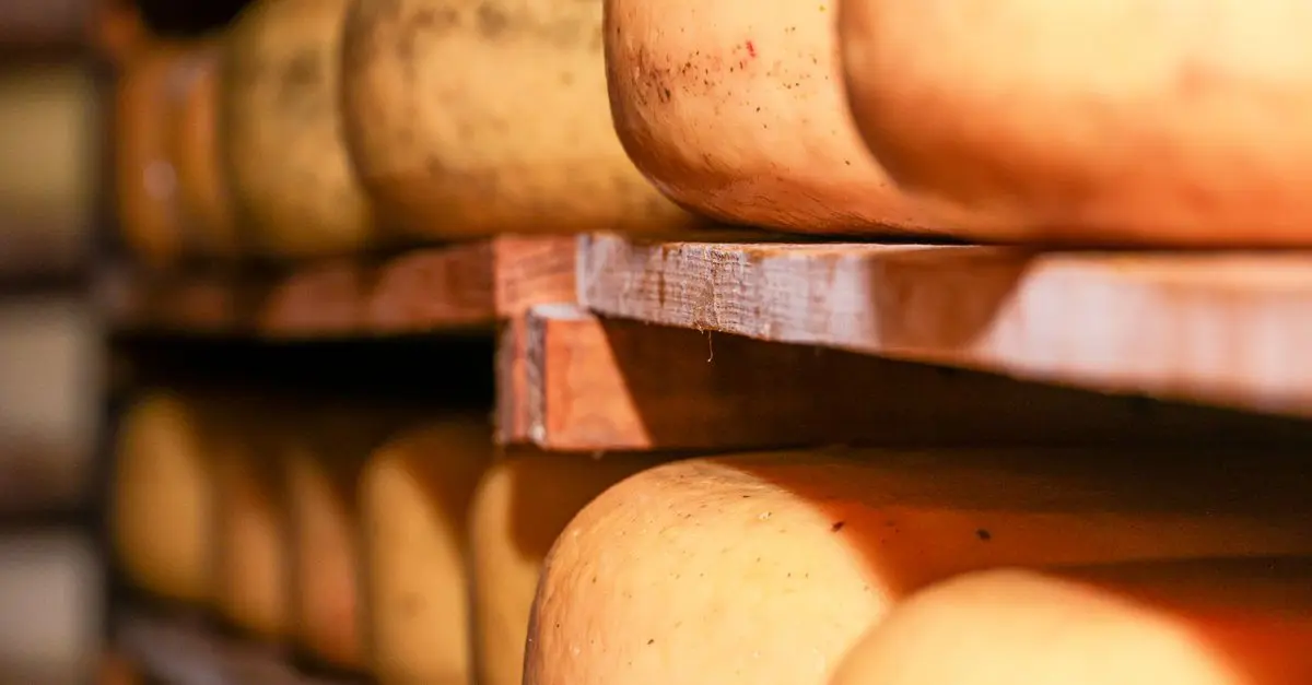Tout Savoir sur les Fromages de France : Variétés et Terroirs