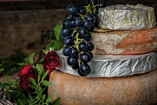 Le Guide Complet pour Choisir le Fromage Idéal pour les Plats