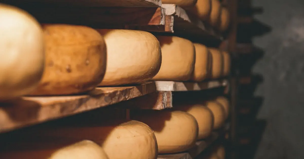 Découverte des Fromages Suisses : Saveurs Incomparables