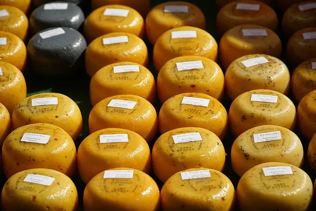 Guide Complet pour Déguster un Fromage Affiné