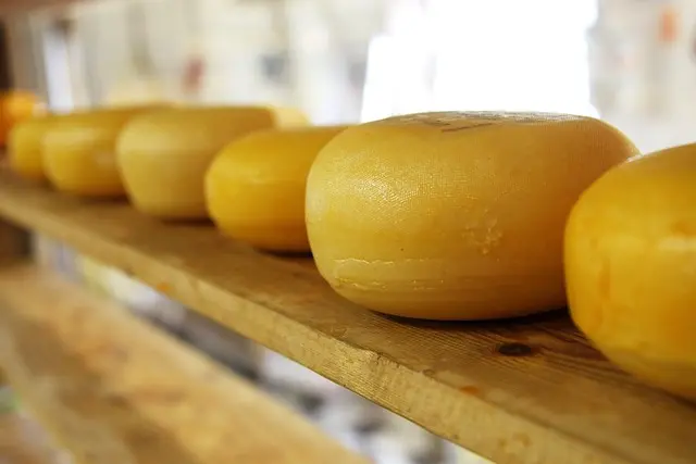 Le Guide Complet du Fromage Affiné : Types et Dégustation