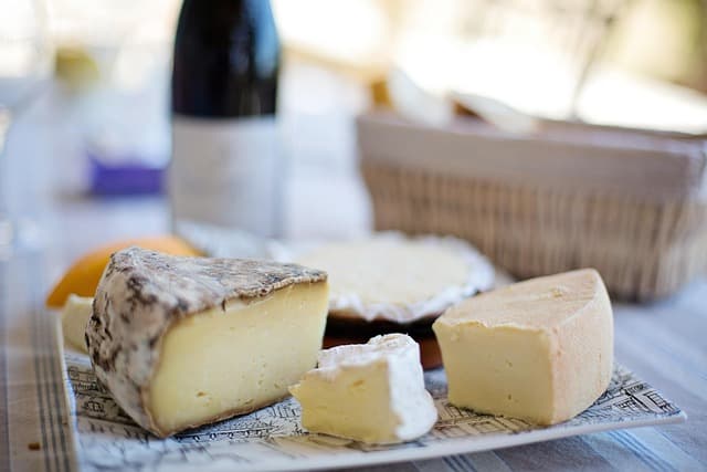 Le Guide Complet des Fromages à Pâte Molle : Variétés et Dégustation