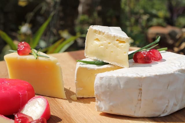 Les Meilleurs Fromages à Déguster en Toute Saison