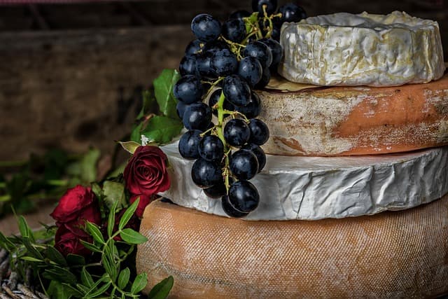 Tout savoir sur les types de fromage : guide complet